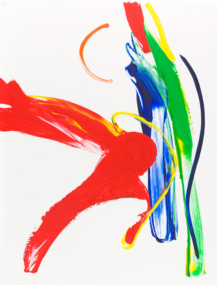 Red burst  | Niek van der Valk